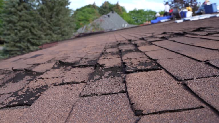 Best Emergency Roof Repair Services  in Smith Mills, MA